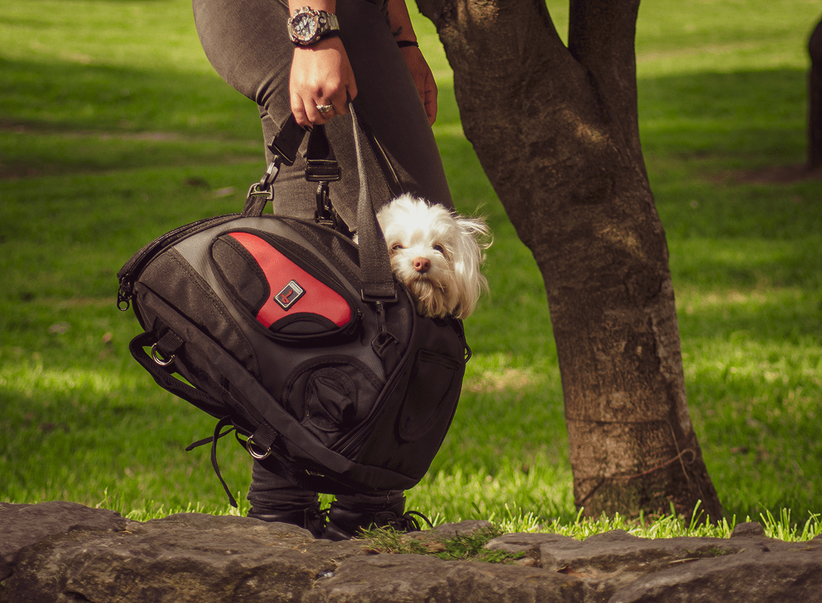 PetBag para Motos