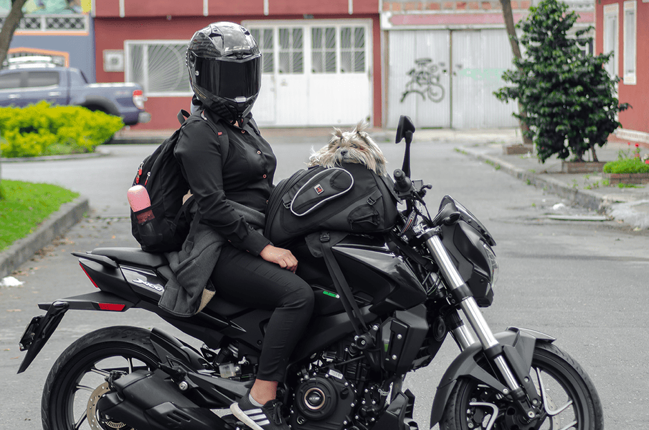PetBag para Motos
